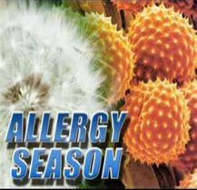 allergies season Image