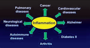 The Good Fats, The Bad Fats, Ugly Inflammation!