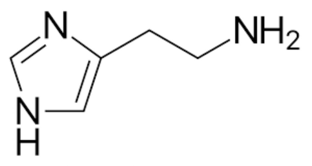Allergies and Histamine Arizona Family Health Centre
