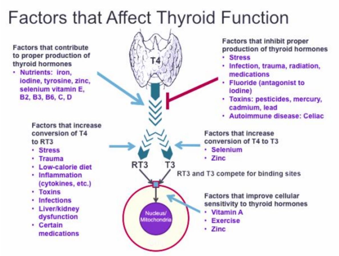 Mineral Imbalance in the thyroid Diagram 