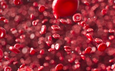 Blood Clotting and Coagulation – How to Reduce Your Risk!