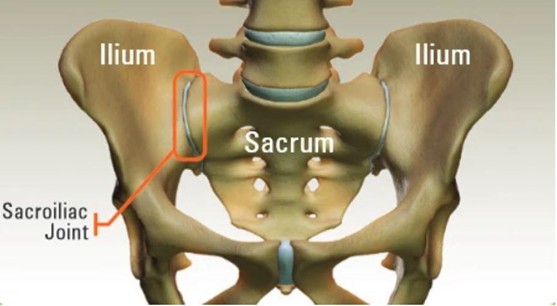 Image of Sacroiliac Joint