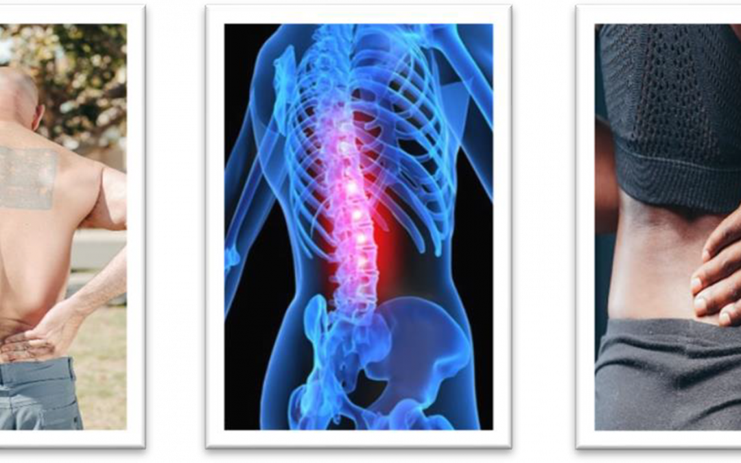 What is Causing My Back Pain? Common Spine Problems